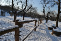 /album/fotogalerie-toulcuv-dvur-ekologicke-centrum-a-farma/toulcuv-dvur4-jpg/
